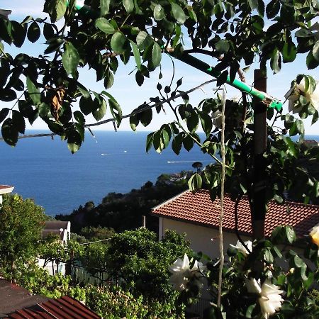 Villa Le Mimose à Vietri Extérieur photo
