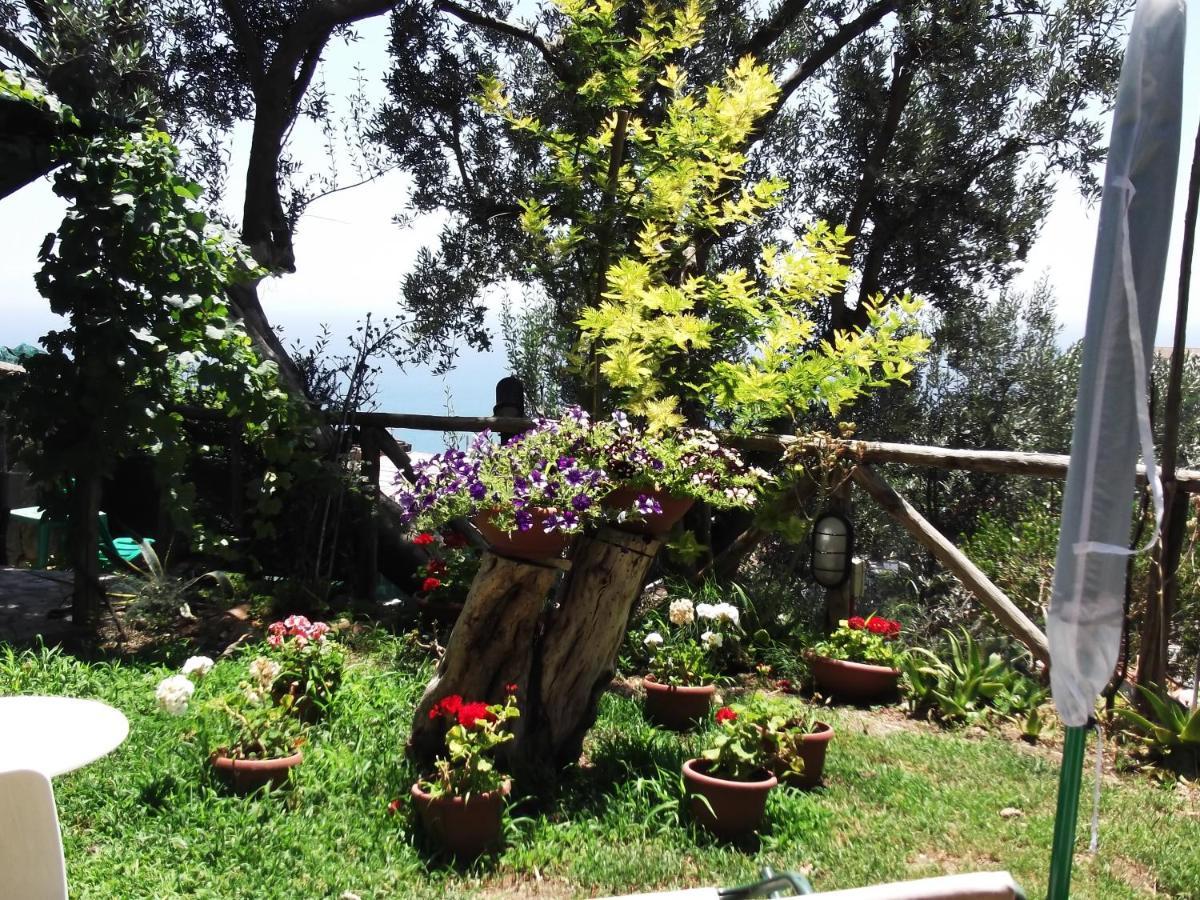 Villa Le Mimose à Vietri Extérieur photo