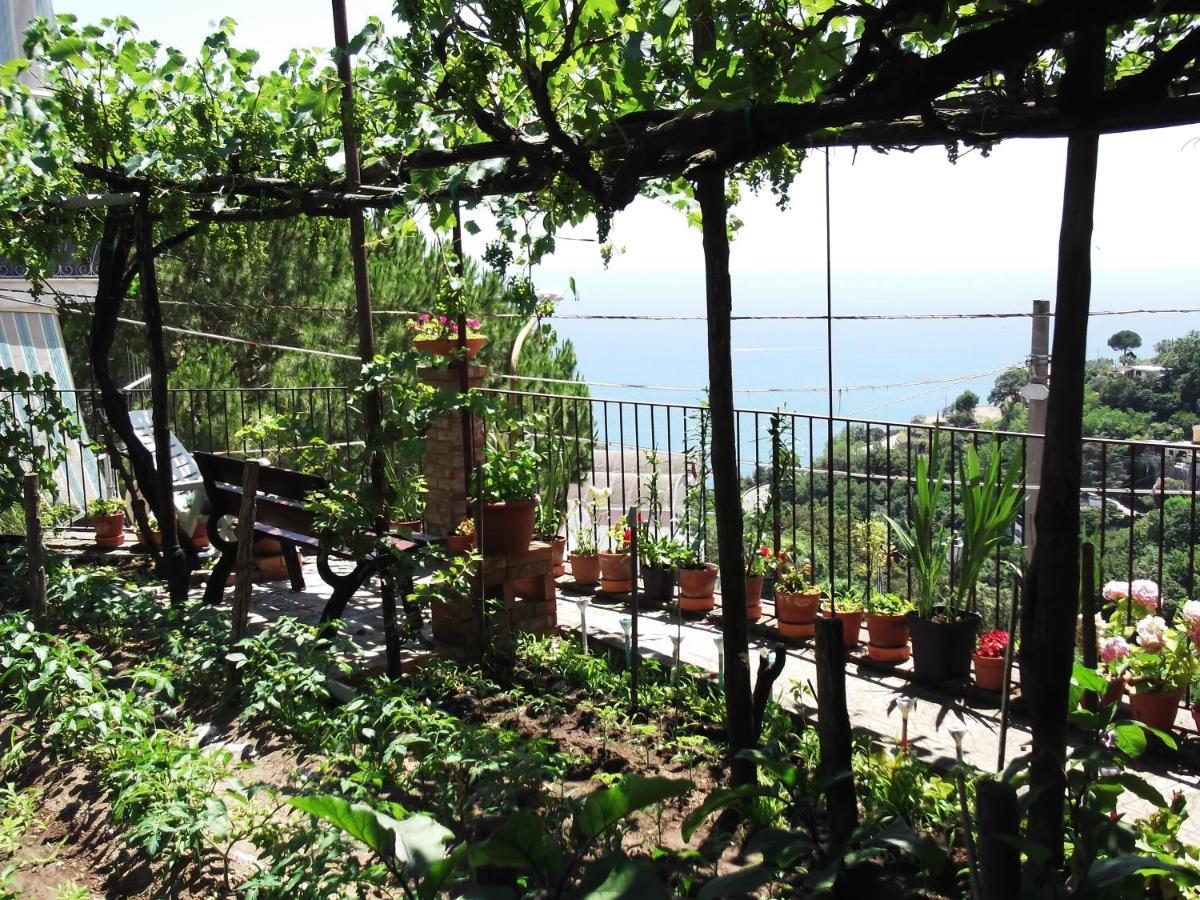 Villa Le Mimose à Vietri Extérieur photo