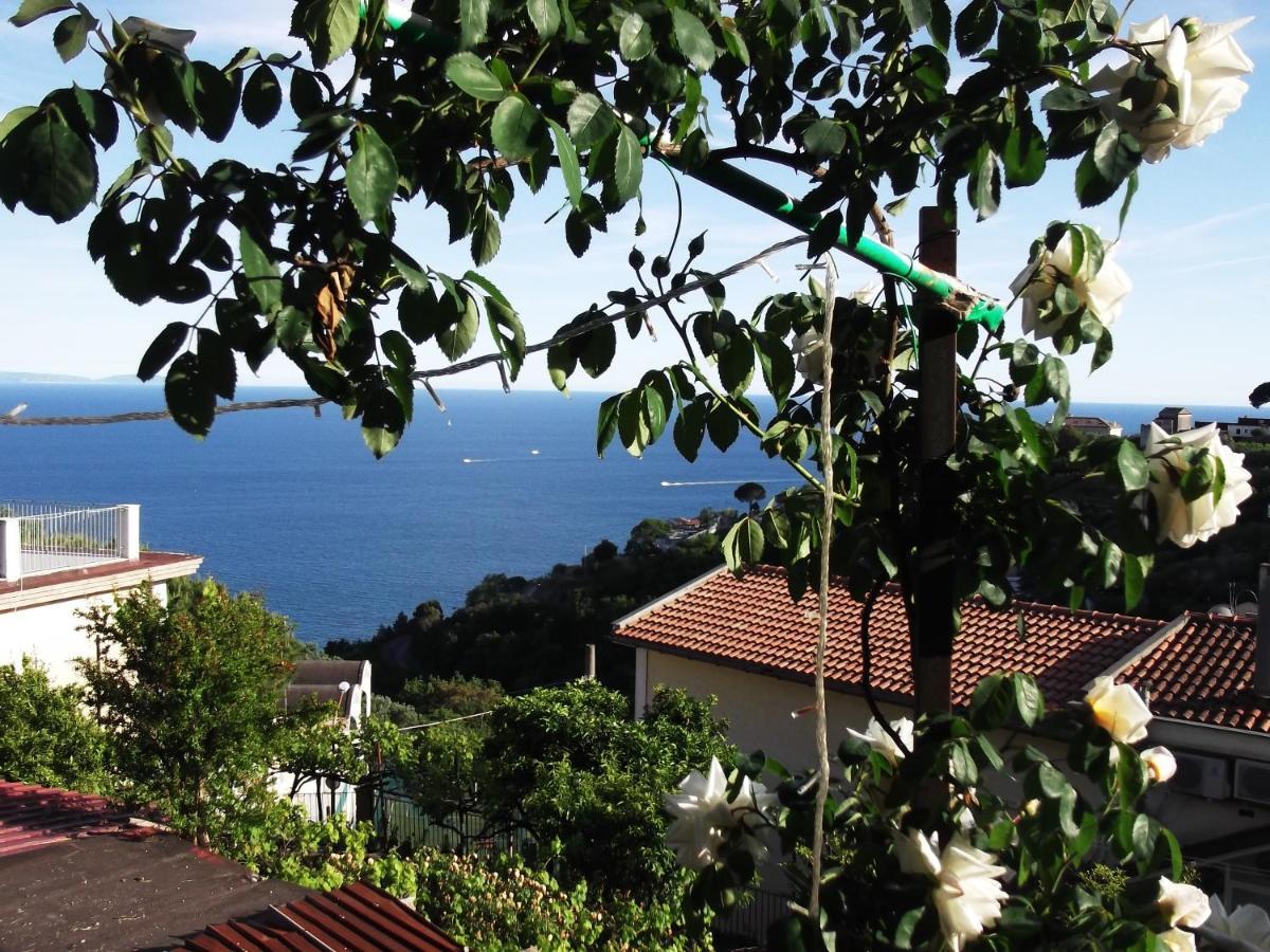 Villa Le Mimose à Vietri Extérieur photo