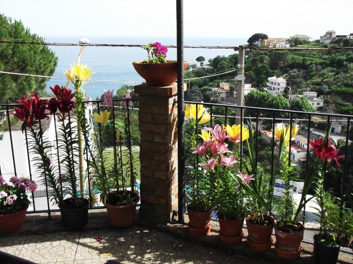 Villa Le Mimose à Vietri Extérieur photo
