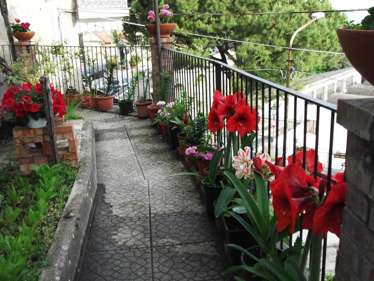 Villa Le Mimose à Vietri Extérieur photo