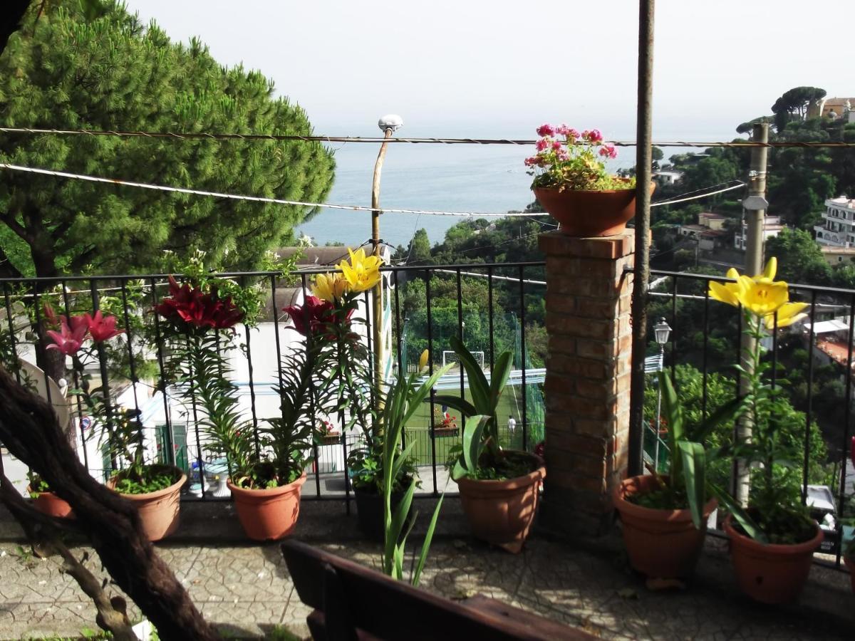 Villa Le Mimose à Vietri Extérieur photo