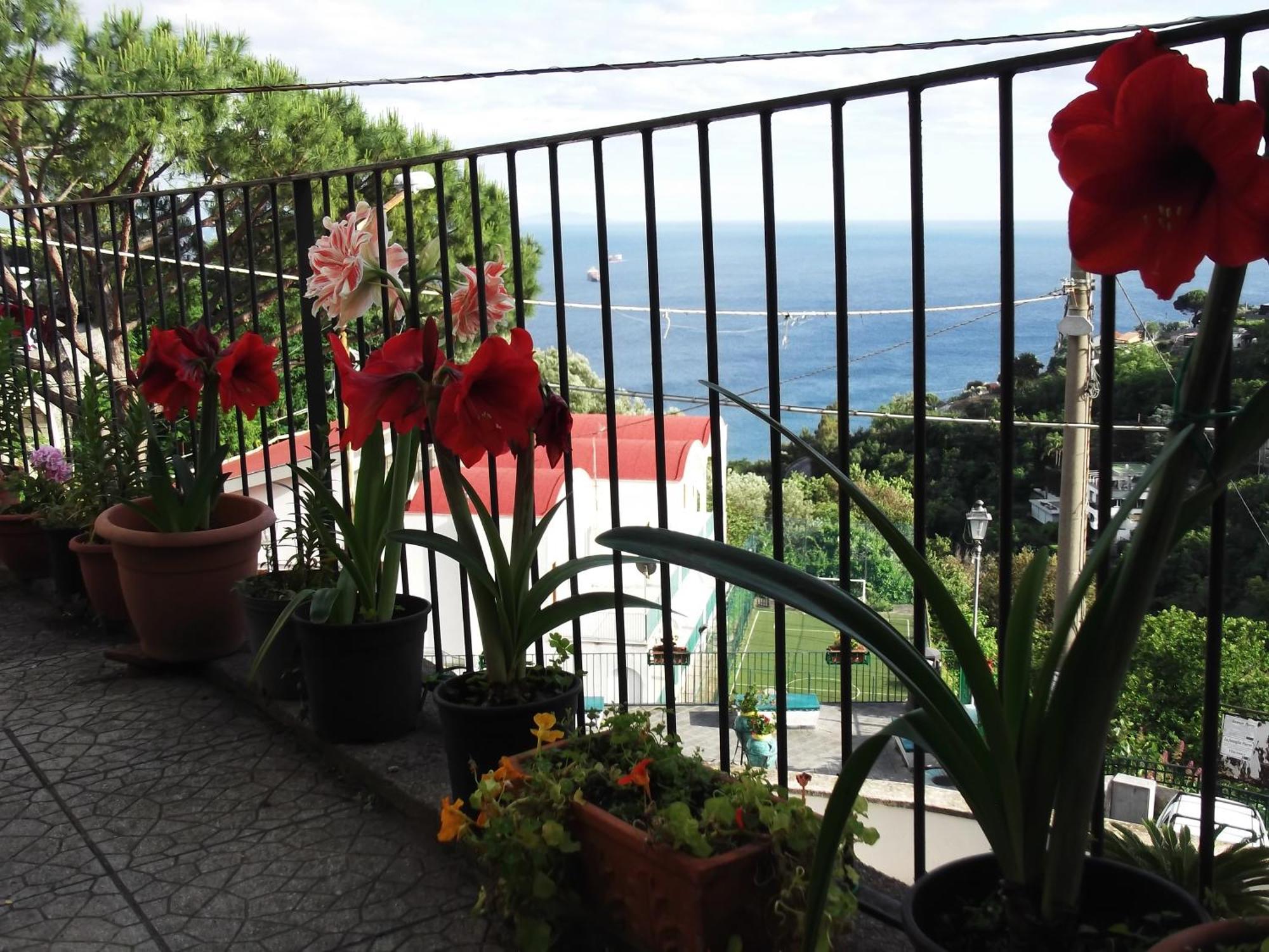 Villa Le Mimose à Vietri Extérieur photo