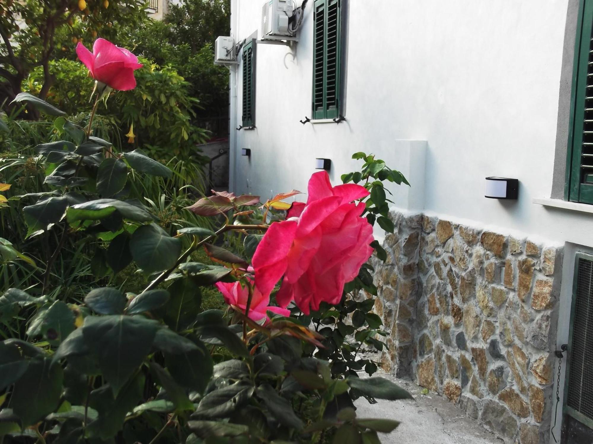 Villa Le Mimose à Vietri Extérieur photo