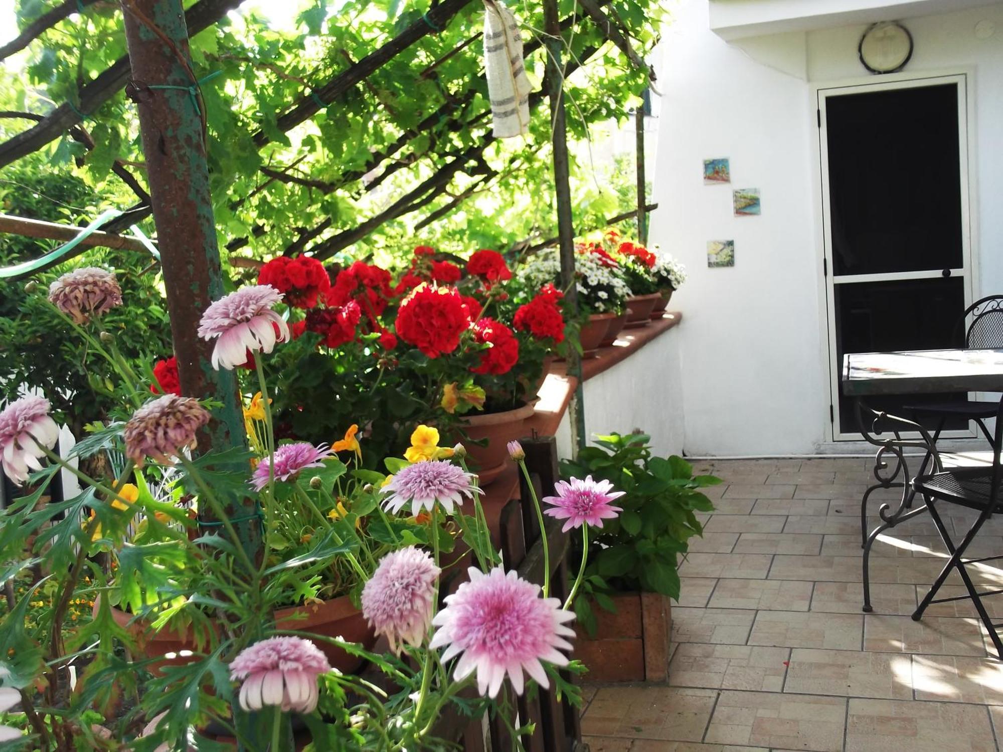 Villa Le Mimose à Vietri Extérieur photo