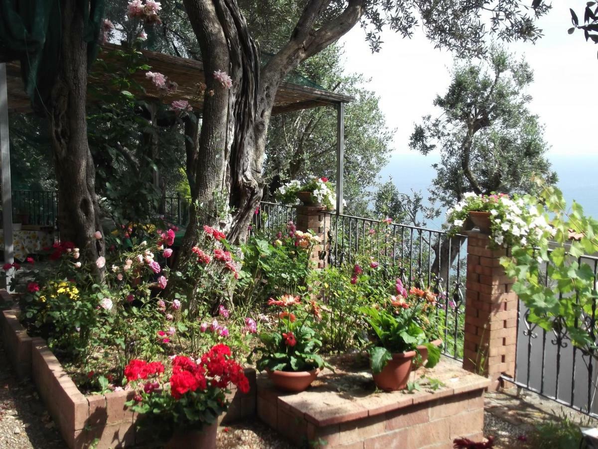 Villa Le Mimose à Vietri Extérieur photo