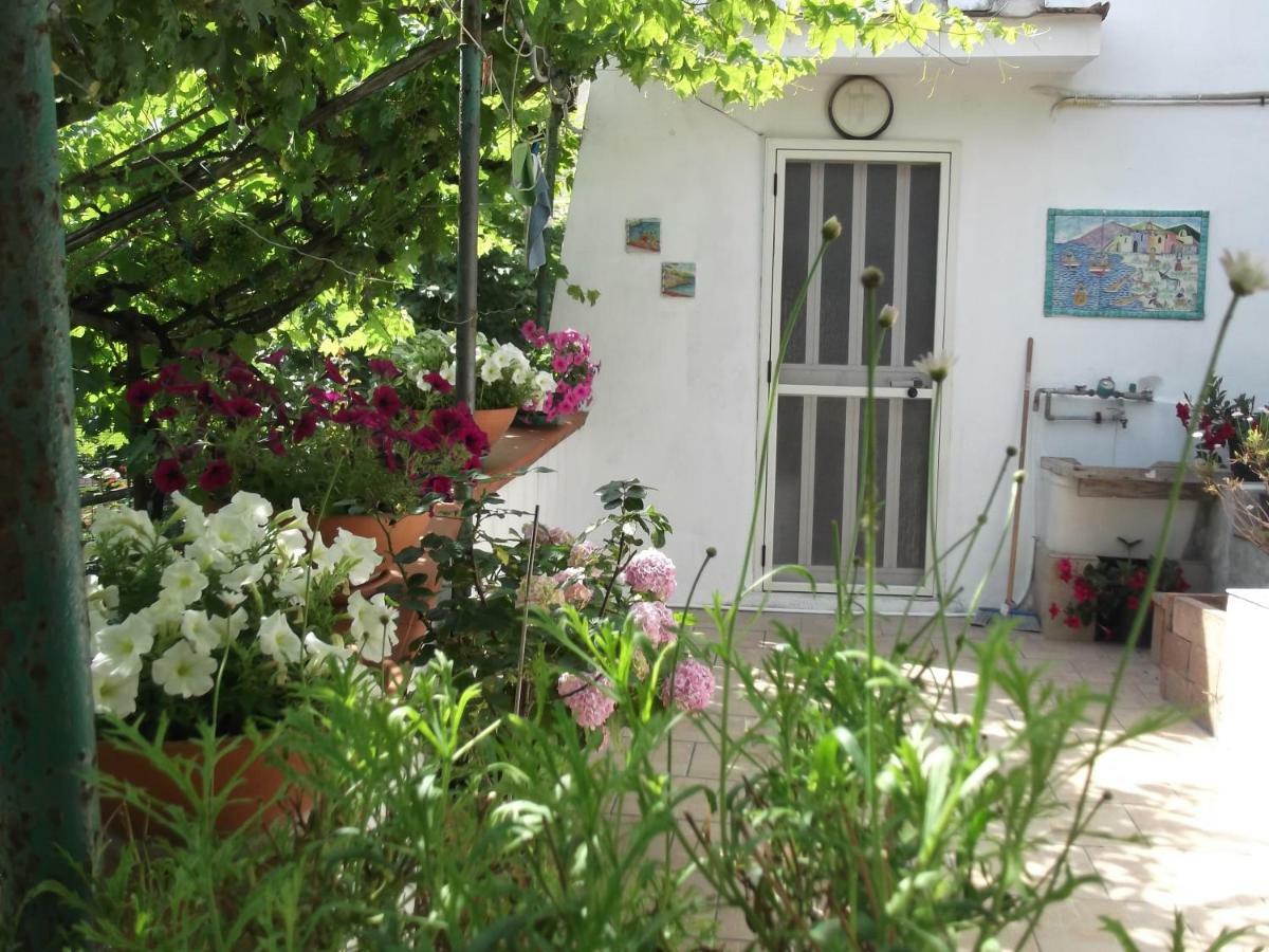 Villa Le Mimose à Vietri Extérieur photo
