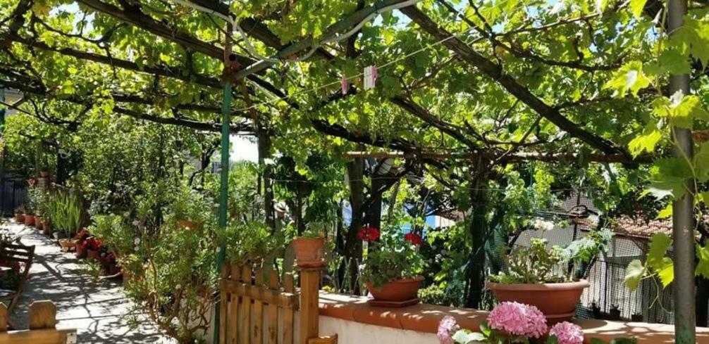 Villa Le Mimose à Vietri Extérieur photo